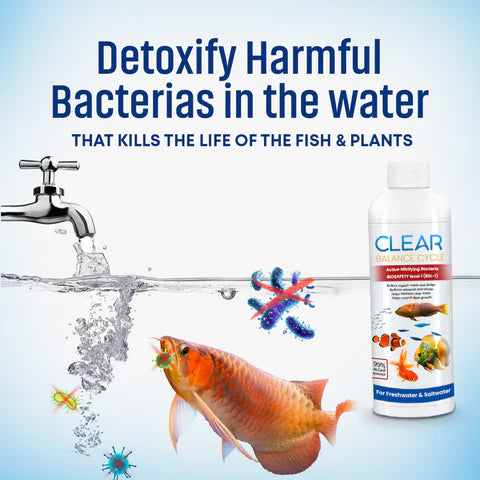 Automatic Fish Tank Cleaner – (Buy 1 Get 1 Free🔥)